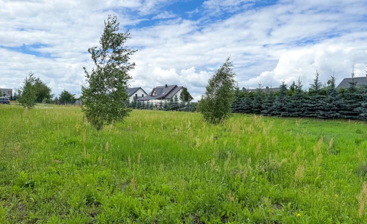 działka na sprzedaż - Czarnków (gw), Brzeźno