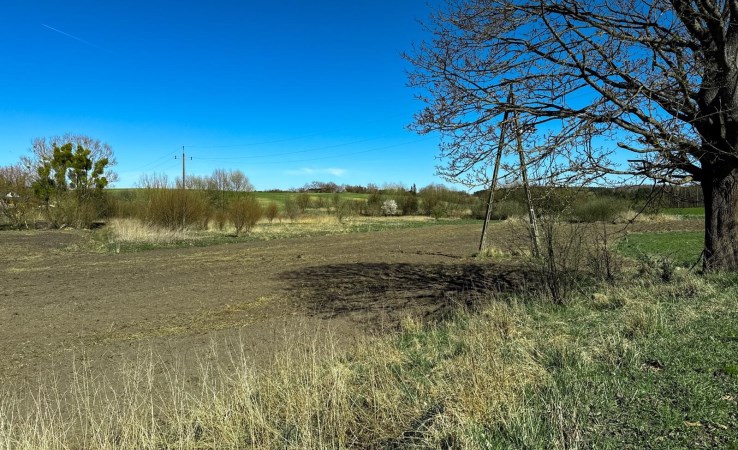 działka na sprzedaż - Trzcianka (gw), Łomnica