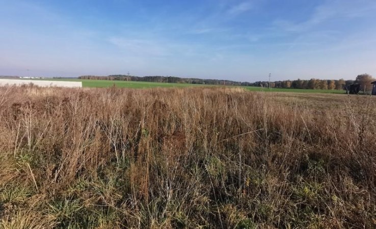 działka na sprzedaż - Wągrowiec (gw), Bartodzieje