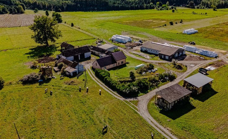 dom na sprzedaż - Wieleń (gw), Wrzeszczyna