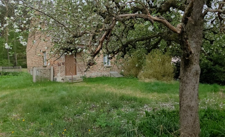 działka na sprzedaż - Lubasz, Krucz
