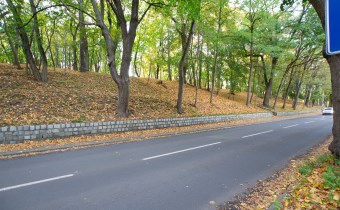 park